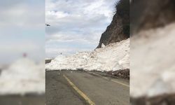 Artvin'de çığ nedeniyle kapanan yol trafiğe açıldı