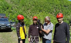 Artvin'de kayalıklarda mahsur kalan oğlak kurtarıldı