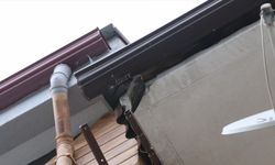 Çatıdaki yağmur saçağına sıkışan ebabil kuşunu itfaiye kurtardı
