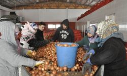 Cumhurbaşkanı Erdoğan'ın müjdesi kuru soğan ve patates üreticilerini sevindirdi