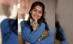 Giresun'da lise öğrencisi yaralı bulduğu kediyi tedavi ettirip sahiplendi