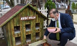 Görele Belediyesi sokak hayvanları için kulübe, su ve mama kapları yerleştirdi