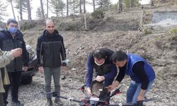Göynük'te karaçam tohumları drone ile toprakla buluşturuldu