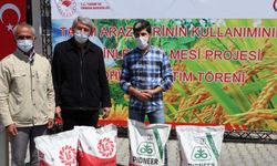 Havza'da çiftçilere yağlık ayçiçeği tohumu dağıtıldı