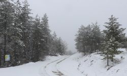 Karabük'ün yüksek kesimlerinde kar yağışı etkili oluyor