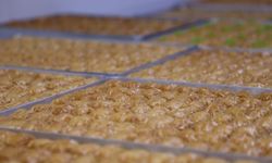 Ordulu baklavacılarda ramazan öncesi "tatlı telaş"