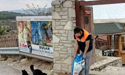 Safranbolu'da sokak hayvanlarına mama desteği