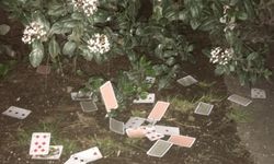 Samsun'da evde kumar oynayan ve Kovid-19 tedbirlerini ihlal eden 9 kişiye para cezası