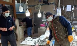 Sinop'ta ağlara takılan kalkan balıkları balıkçıların yüzünü güldürdü