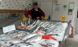 Sinop'ta tezgahlarda av balıklarının yerini havuz balıkları aldı