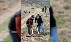 Tokat'ta "En İyi Narkotik Polisi: Anne" projesi kapsamında 500 fidan dikildi