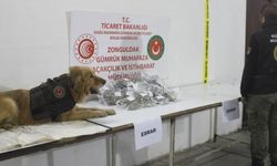 Zonguldak'ta 2 kilo 752 gram esrar ele geçirildi