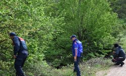 Bartın'da ormanlık alanda kaybolan kişi aranıyor