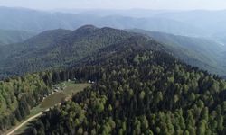 Batı Karadeniz yaylaları "tam kapanma" sonrası ziyaretçilerini bekliyor
