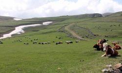 Bayburt'ta kışla sessizliğe bürünen dağ köyleri canlandı