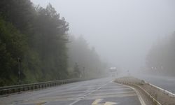 Bolu Dağı'nda sağanak ve yoğun sis ulaşımı olumsuz etkiliyor