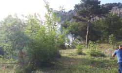 Bolu'da çıkan orman yangınında 7 hektar alan zarar gördü