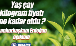 Cumhurbaşkanı Erdoğan yaş çay fiyatını bu şekilde açıkladı