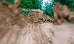 Giresun'da bir köy koronavirüs tedbirleri kapsamında karantinaya alındı