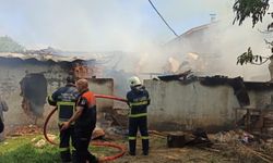 İtfaiyeci dumandan etkilenen danaya suni teneffüs yaptı