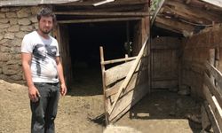 Karabük'te ahırdaki 35 küçükbaş havyanın telef olmasına inceleme