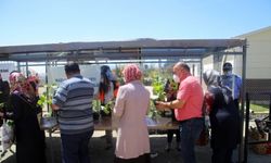 Kastamonu Belediyesi "ata tohumları"ndan yetiştirilen 60 bin fide dağıttı