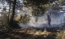 Kastamonu'da çıkan orman yangınına müdahale ediliyor