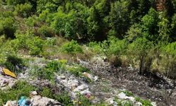 Kastamonu'da çöplükte çıkan ve ormana sıçrayan yangın söndürüldü