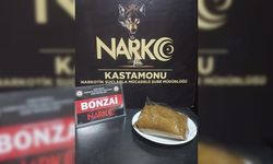 Kastamonu'da düzenlenen uyuşturucu operasyonunda bir kişi tutuklandı