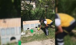 Kastamonu'da tam kapanma döneminde sokak hayvanları unutulmadı