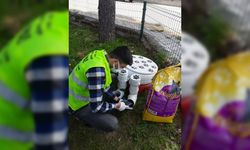 Sokağa çıkma kısıtlamasında Samsun'da sokak hayvanlarını jandarma ekipleri besledi