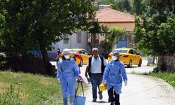Çorum'da yaşayan yaşlı çift tarlada aşılandı