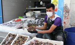 Dışı zehirli içi lezzetli iskorpit balığı Sinop'ta tezgahları süslüyor