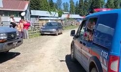 Düzce'de yaralı karaca yavrusu koruma altına alındı