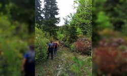 Gümüşhane'de kayıp kişiyi bulmak için arama çalışmaları devam ediyor