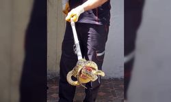 Karabük'te eve giren 2 metre uzunluğundaki yılanı itfaiye yakaladı