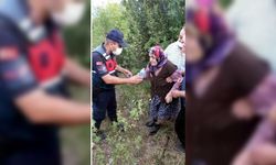 Karabük'te kaybolan 87 yaşındaki alzaymır hastası kadını jandarma buldu
