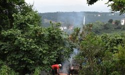 Karadenizli kadınlar geleneksel dut pekmezi yapımına başladı