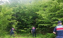 Kastamonu'da 15 gün önce kaybolan kişiyi arama çalışmaları sürüyor
