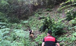 Kastamonu'da 28 gün önce kaybolan kişiyi arama çalışmaları sürüyor