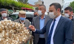 Taşköprü sarımsağını korumak için ilçede temmuza kadar sarımsak pazarı kurulmayacak