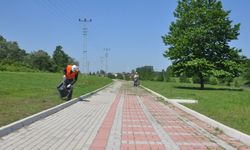 Terme Belediyesi yürüyüş ve gezi yolu yenileme çalışmalarını başlattı