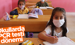 Okullarda PCR testi uygulaması başlıyor - Öğrenciler rastgele seçilecek