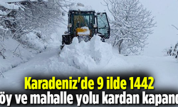 Karadeniz'de 9 ilde 1442 köy ve mahalle yolu kardan kapandı