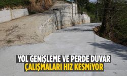 Ardeşen’de Yol Genişleme ve Perde Duvar Çalışmaları Hız Kesmiyor