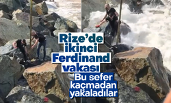 Rize'de kaçmaya çalışan kurban, denize düştü