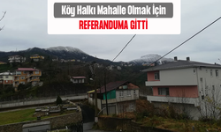 Rize'de Köy Halkı Mahalle Olmak İçin Referanduma Gitti