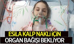 Esila yoğun bakımda kalp nakli bekliyor