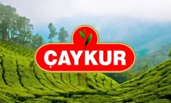 Çaykur 2. sürgün çay alımlarına başladı