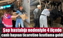 Şap hastalığı nedeniyle 4 ilçede canlı hayvan ticaretine kısıtlama geldi